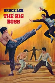 The-Big-Boss-1971